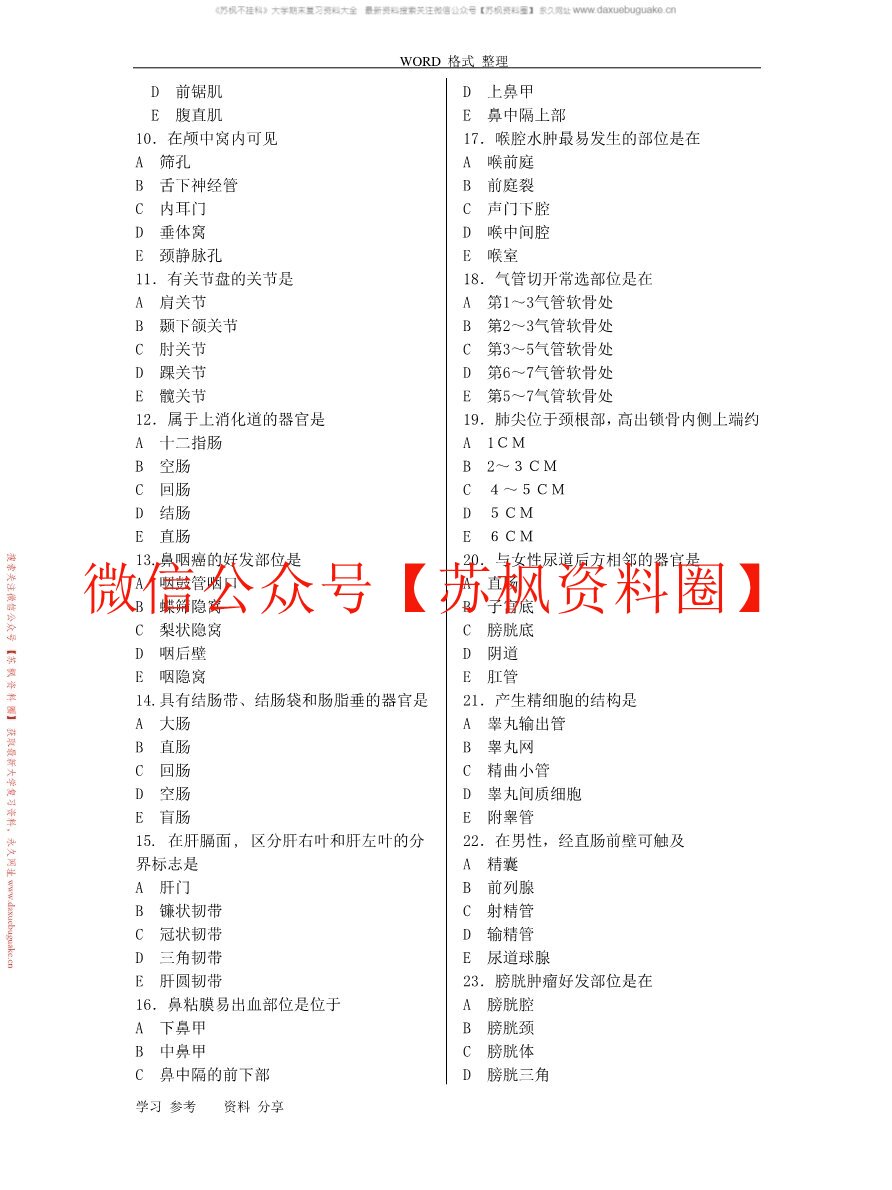 解剖学基础